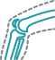 bone mineral densitometry